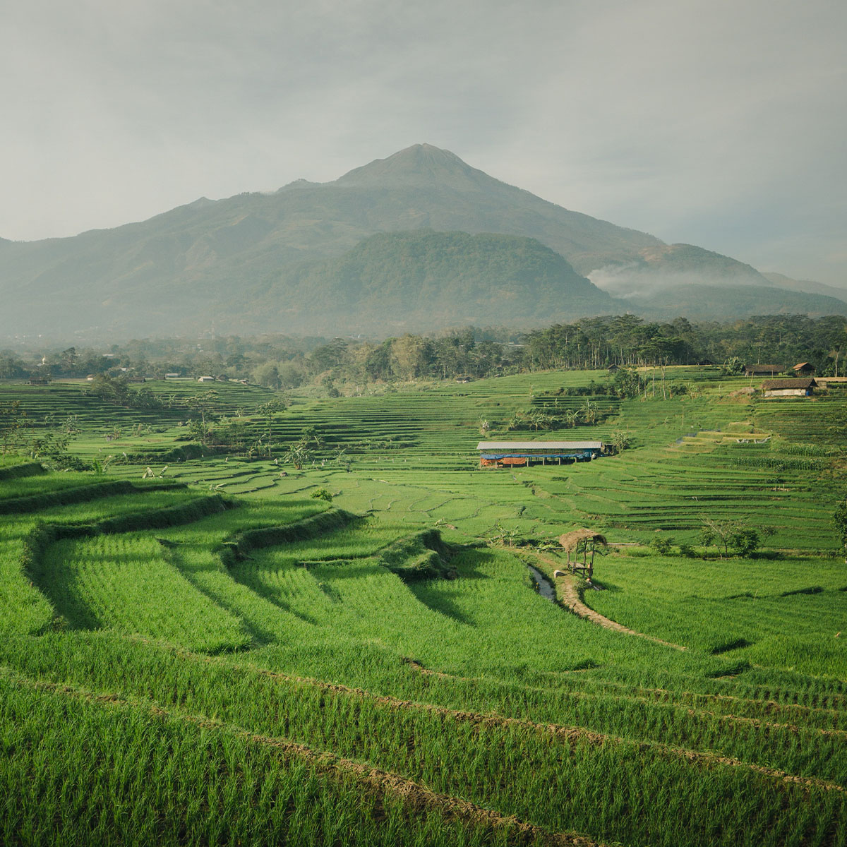 Ilustračný obrázok. Photo by Ardito Ryan Harrisna on Unsplash