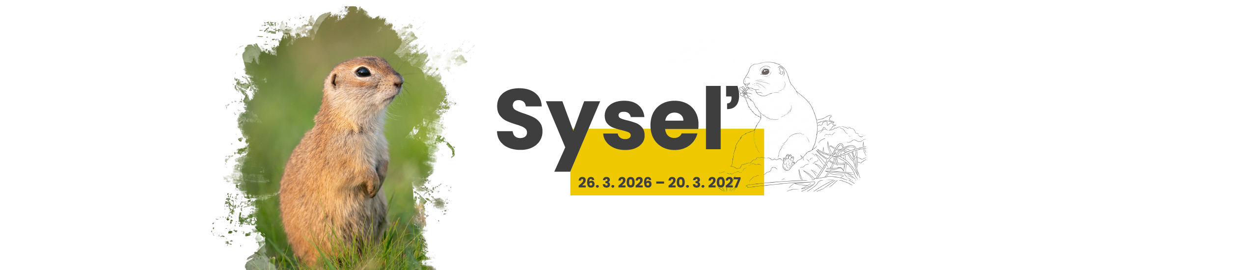 Syseľ výstav v Múzeu Spiša v Spišskej Novej Vsi