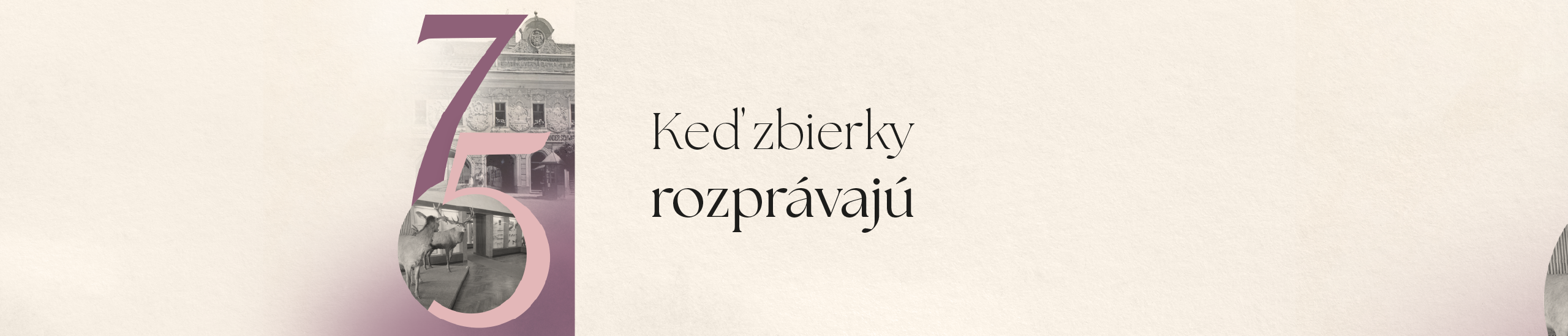 Keď zbierky rozprávajú. web cover