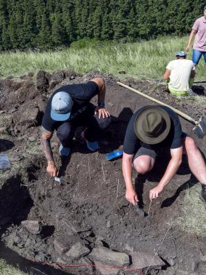 2. etapa archeologického výskumu na vedecké a dokumentačné účely púchovského hradiska v Jánovciach (okr. Poprad)