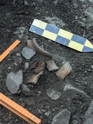 2. etapa archeologického výskumu na vedecké a dokumentačné účely púchovského hradiska v Jánovciach (okr. Poprad)