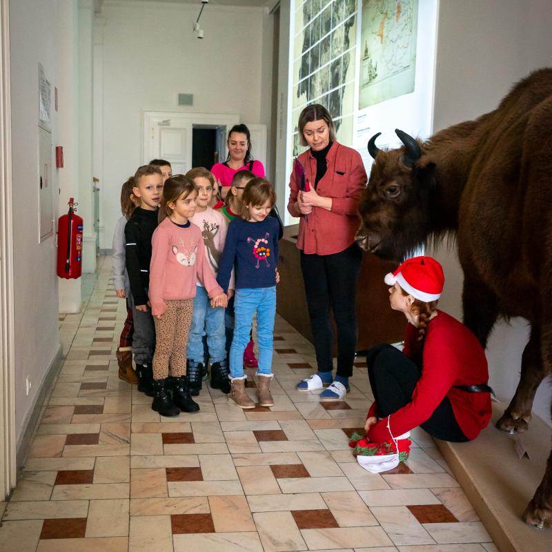 Vianoce s elfom v múzeu