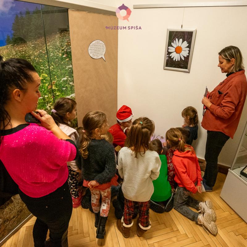 Vianoce s elfom v múzeu