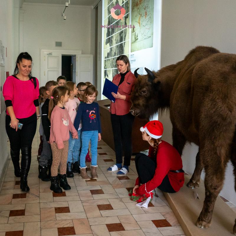 Vianoce s elfom v múzeu