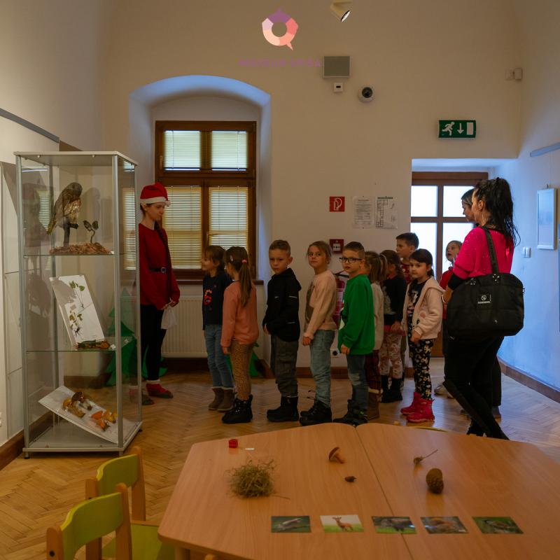 Vianoce s elfom v múzeu