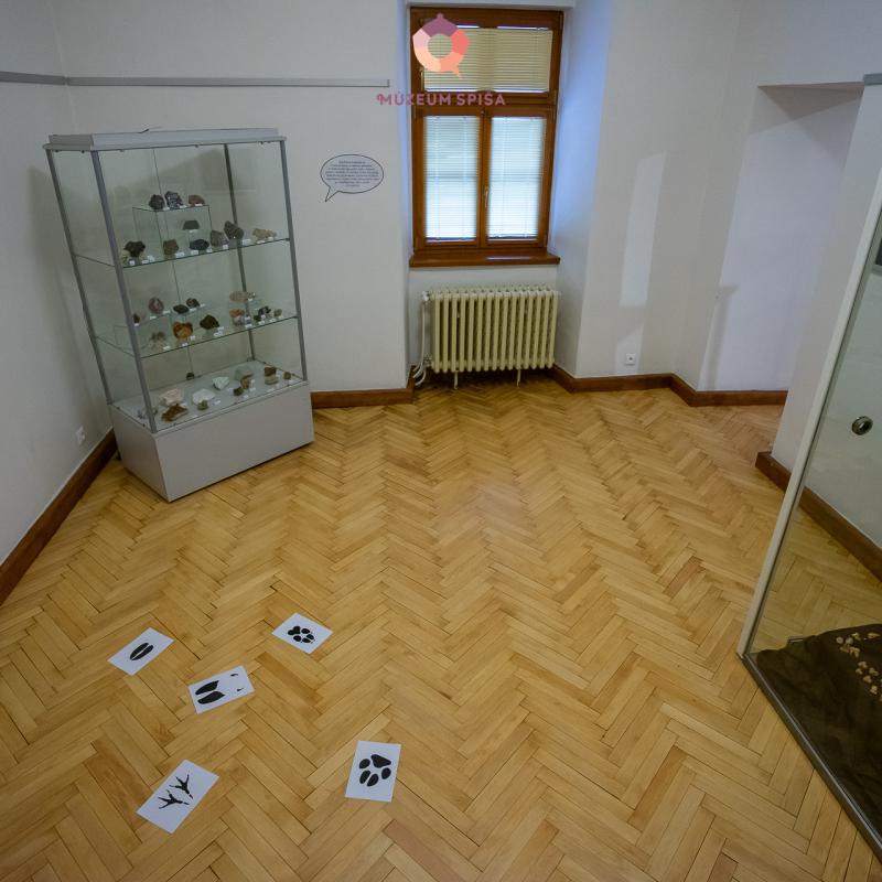 Vianoce s elfom v múzeu