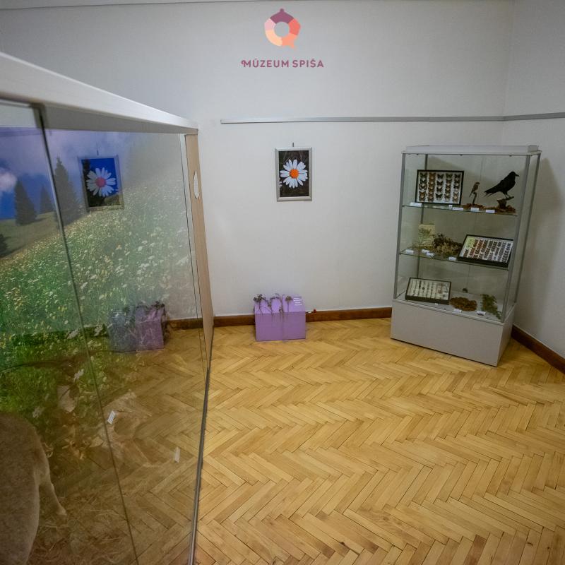 Vianoce s elfom v múzeu