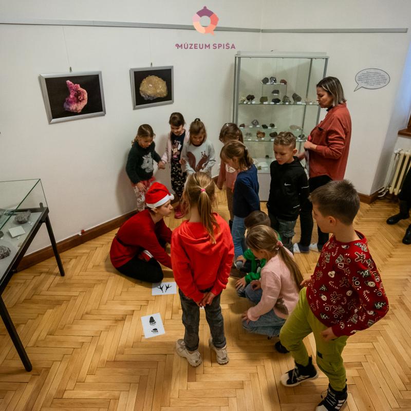 Vianoce s elfom v múzeu