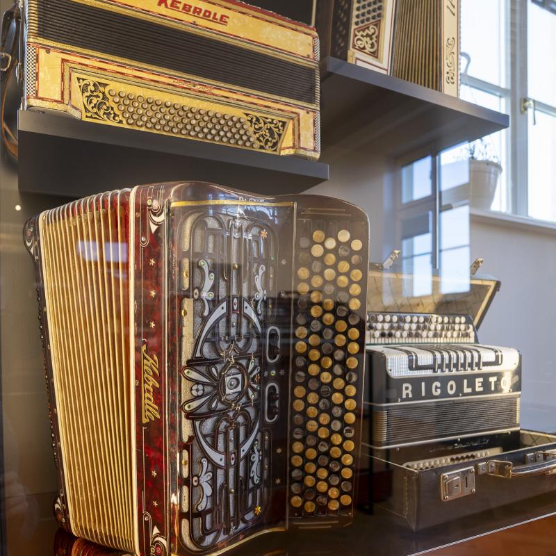 Detail akordeónu. Autor: Vladimír Krempaský