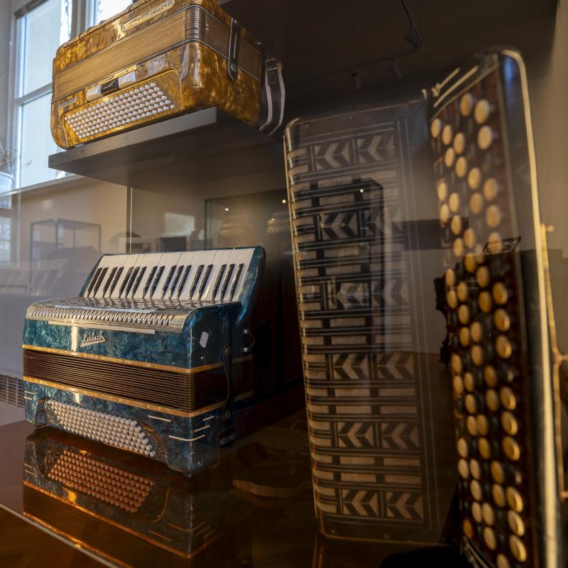 Detail akordeónov. Autor: Vladimír Krempaský