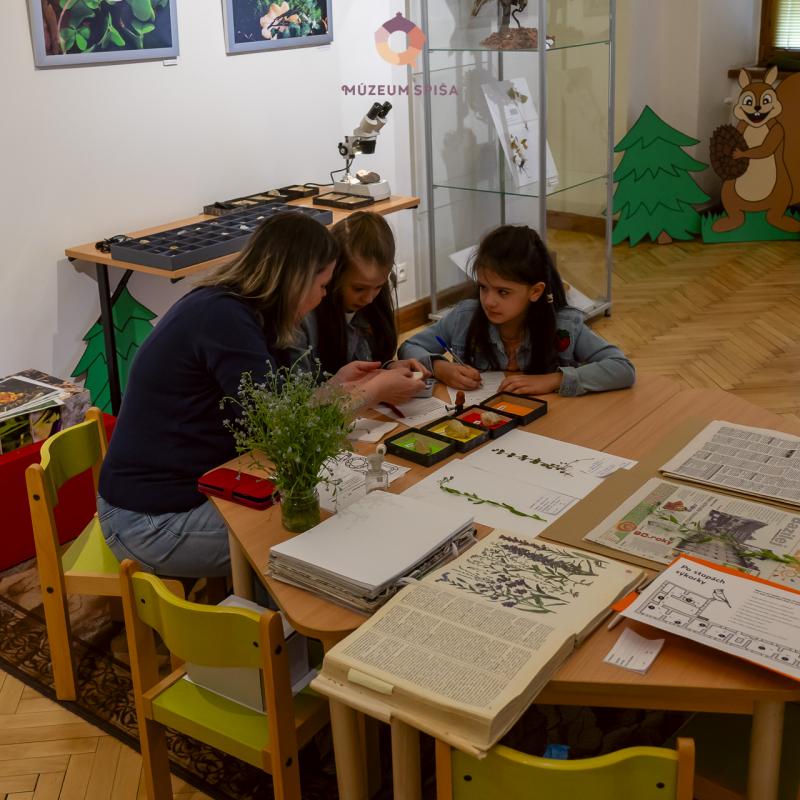 Noc múzeí a galérií 2024