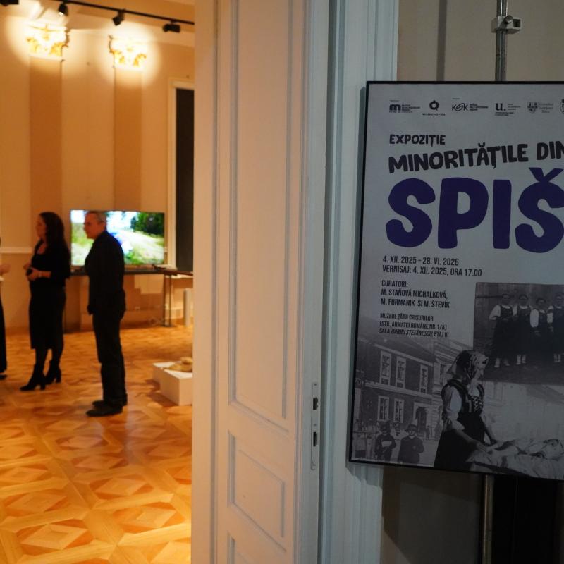 Țării Crișurilor Museum Oradea (Rumunsko)