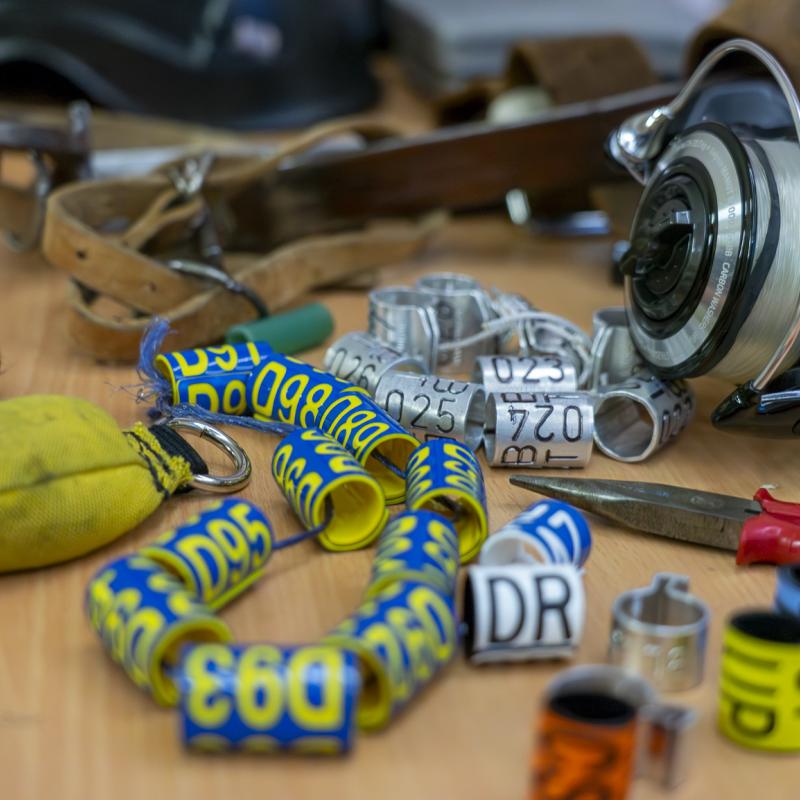 O prírode v pivničke 47